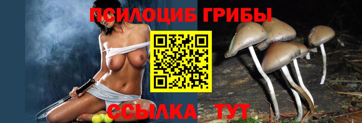 Галлюциногенные грибы Psilocybe Артём